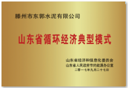 山東省循環(huán)經(jīng)濟(jì)典型模式